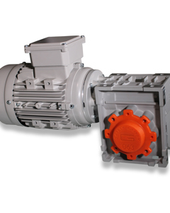 Worm gear motor 3Ph 50Hz 0.75kW 230/400V 47rpm